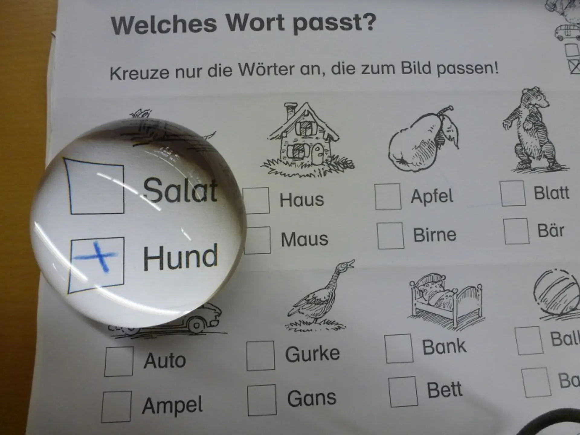 Hilfsmittel im Gemeinsamen Lernen: Lesen mit Vergrößerungslupe