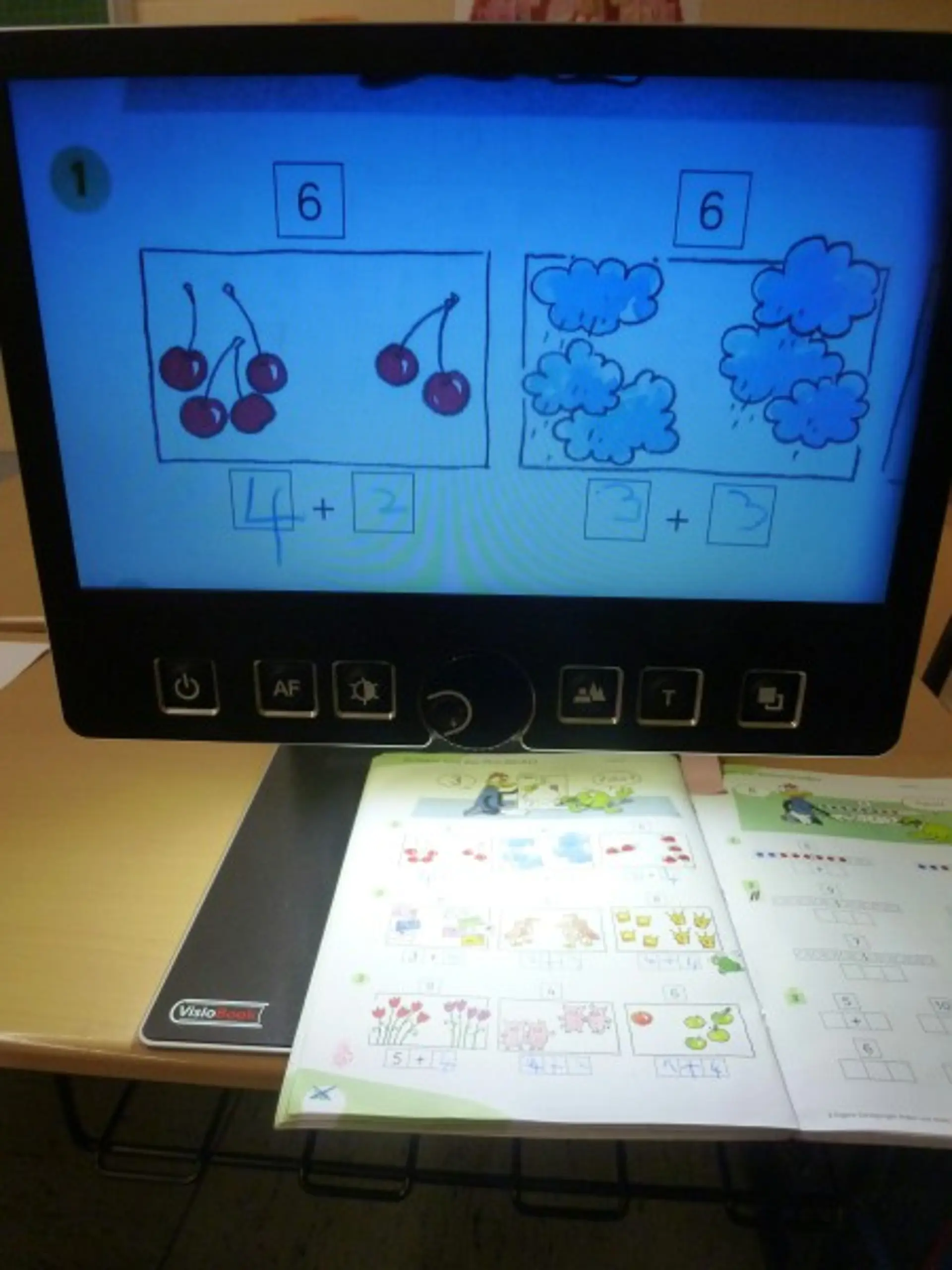 Hilfsmittel im Gemeinsamen Lernen: VisioBook mit Buch