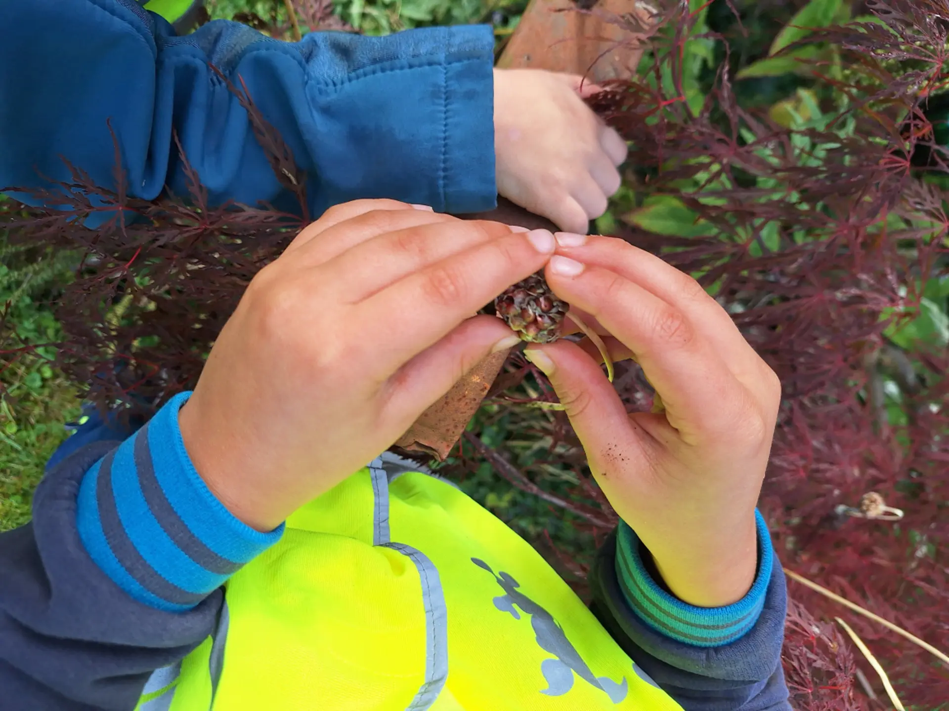 Kinder der Primarstufe erkunden Herbstfrüchte